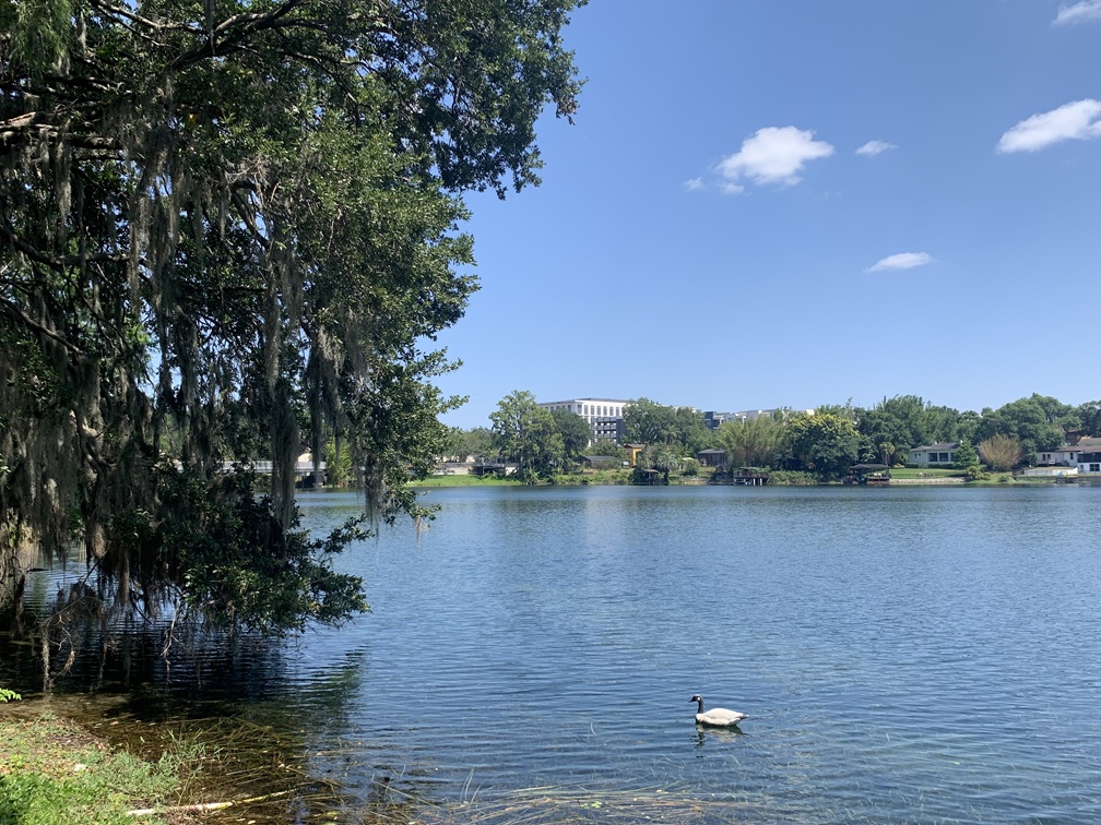 Orlando