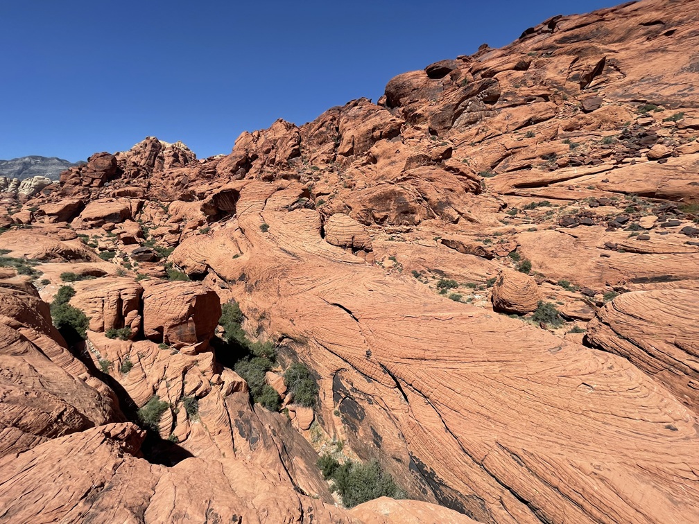 Red Rock Canyon