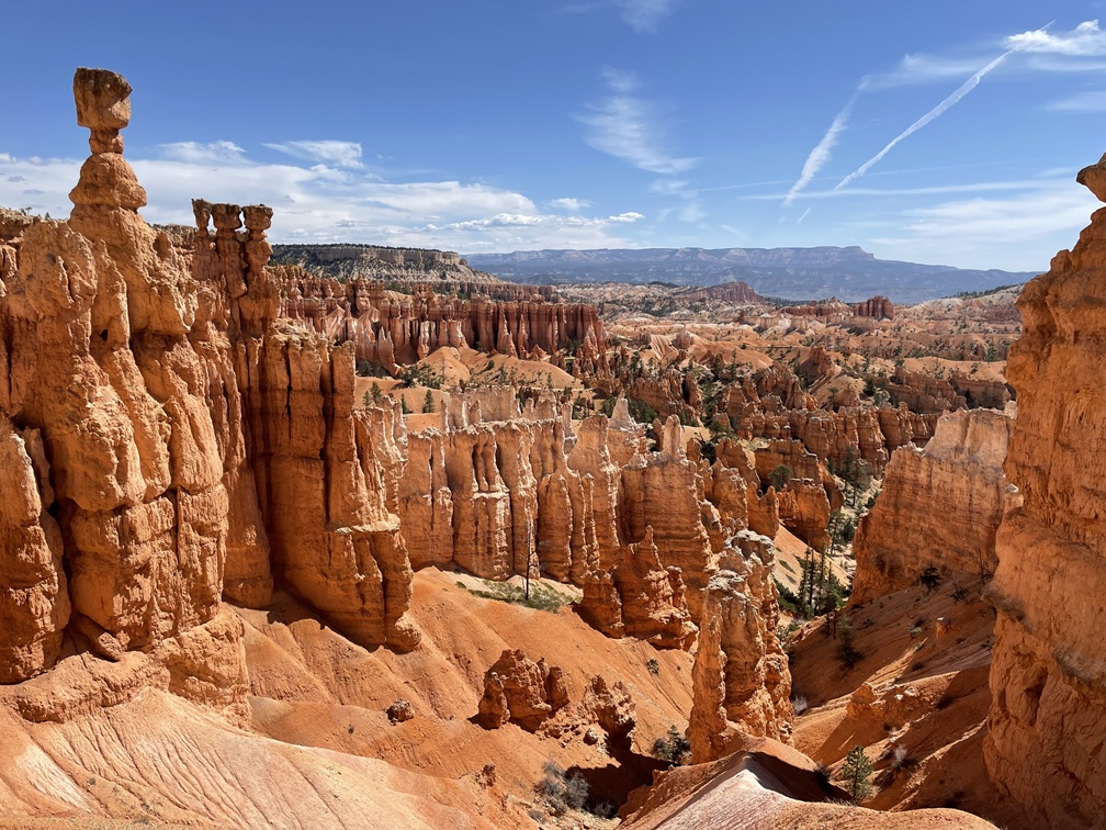 Bryce